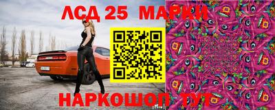 шишки Нарткала
