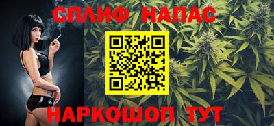МДПВ Можга