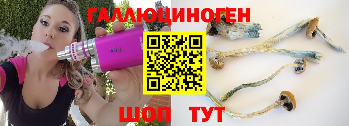 Сосновоборск  Галлюциногенные грибы мухоморы  Вход с VPN 